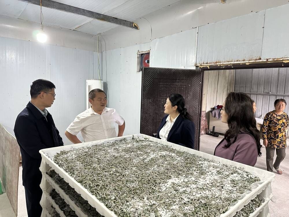 蚕桑基地.jpg