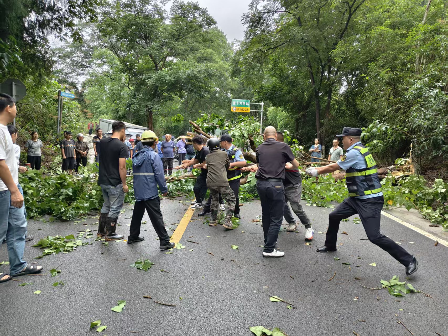 图1 微信图片_20260622111159.jpg
