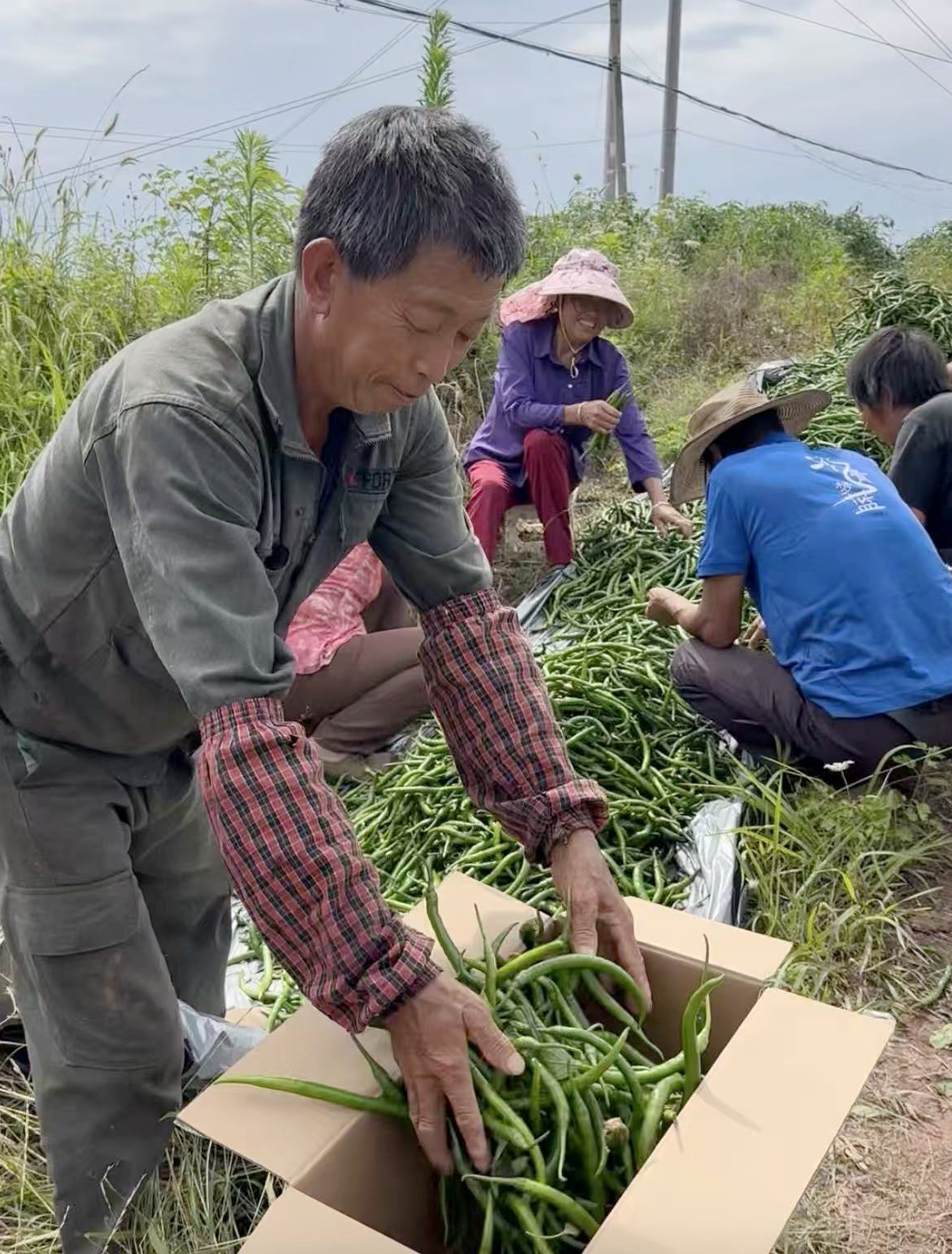 微信图片_20260706143156_465_135.jpg